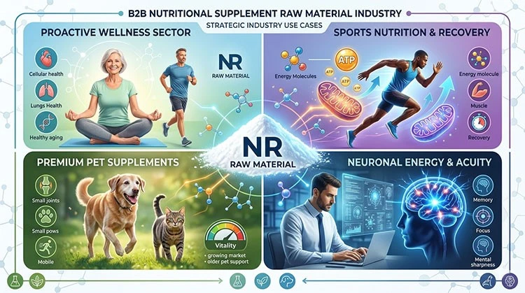 Strategic-Industry-Use-Cases-for-NR-Powder-Raw-Materials Strategic-Industry-Use-Cases-for-NR-Powder-Raw-Materials